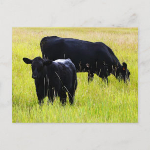 Postal Pareja negra de ángulos en campo