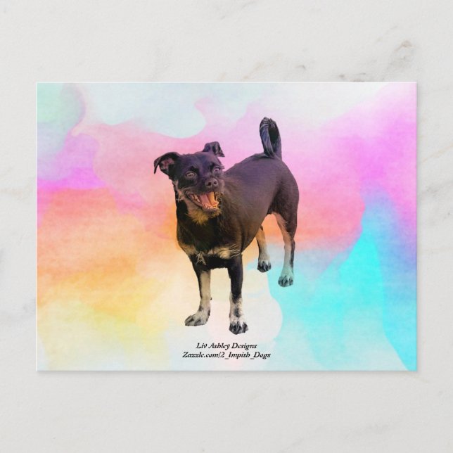 Postal Paris Disco Postcard (Anverso)