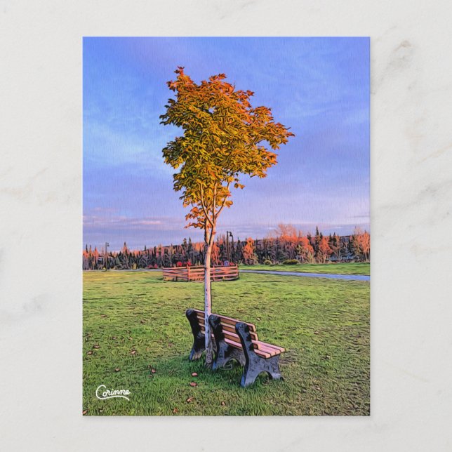 Postal Park Bench Alaska - Postcard (Anverso)