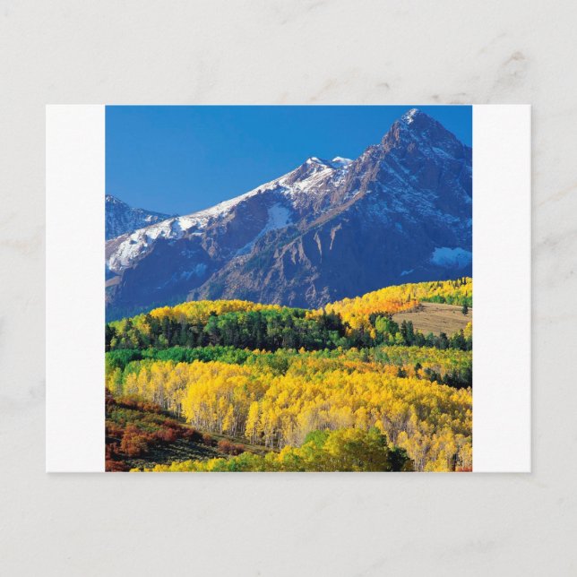 Postal Park Sneffels Uncompahgre Forest Colorado (Anverso)