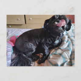 Postal Parpadeo de la lengua