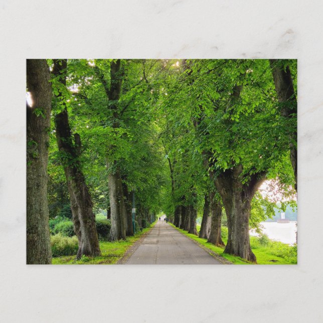 Postal Parque (Anverso)