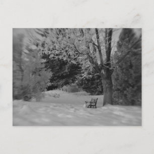 Postal Parque Bench en invierno
