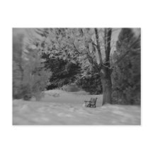 Parque Bench en invierno