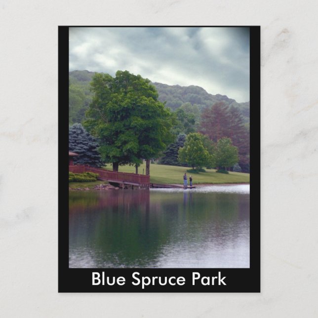 Postal Parque Blue Spruce (Anverso)
