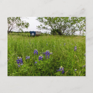 Postal Parque Bluebonnet, Ennis, Texas