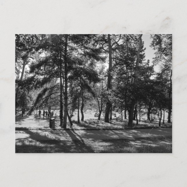 Postal Parque Bute en una tarde de verano. Cardiff Gales. (Anverso)