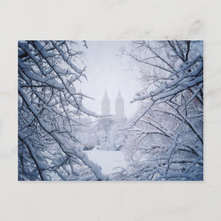 Postal Parque Central Enmarcado Con Nieve E Hielo