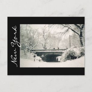 Postal parque central nueva york