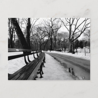 Postal Parque central Snowy