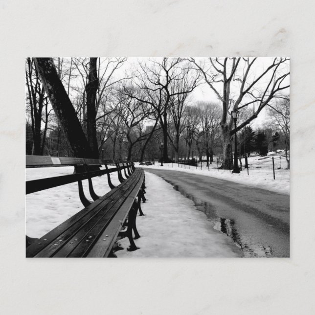 Postal Parque central Snowy (Anverso)