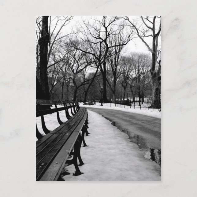 Postal Parque central Snowy (Anverso)