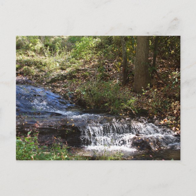 Postal Parque Conmemorativo Bobby McLean #4 Newland, NC (Anverso)