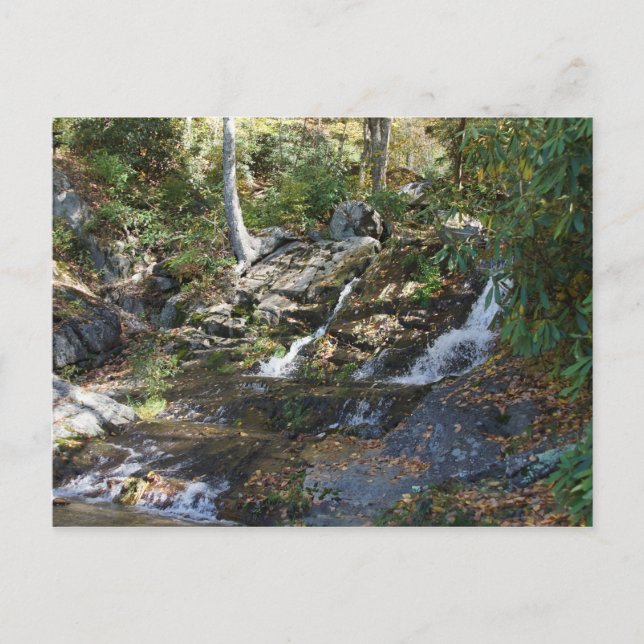 Postal Parque conmemorativo Bobby McLean #5, Newland, NC (Anverso)