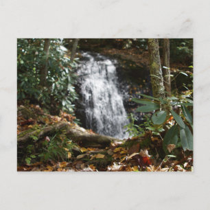 Postal Parque conmemorativo Bobby McLean, Newland, NC #3