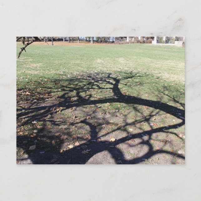 Postal Parque conmemorativo perdido # 4 (Anverso)