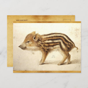 Postal Parque de dibujo de animales antiguos WILBOAR PIGL