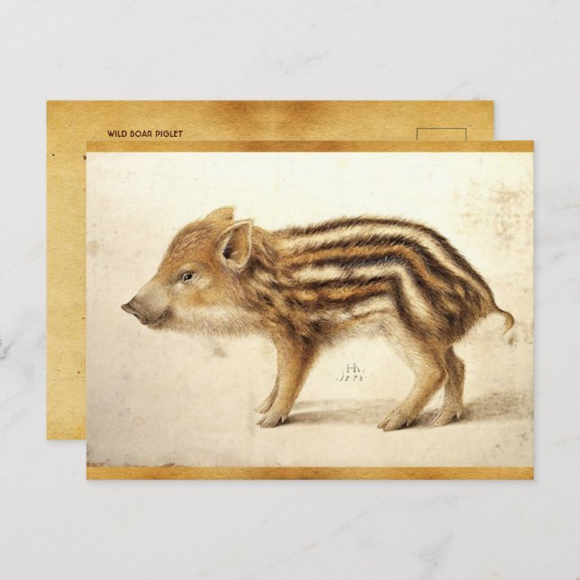 Postal Parque de dibujo de animales antiguos WILBOAR PIGL (Anverso / Reverso)