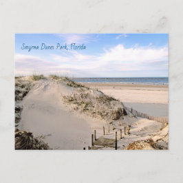 Postal Parque de dunas de la playa de Florida Ponce Inlet