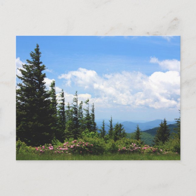 Postal Parque de estado del Mt. Mithcell (Anverso)