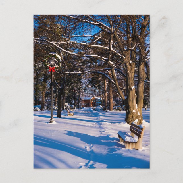 Postal Parque de invierno cubierto de nieve en Canadá (Anverso)