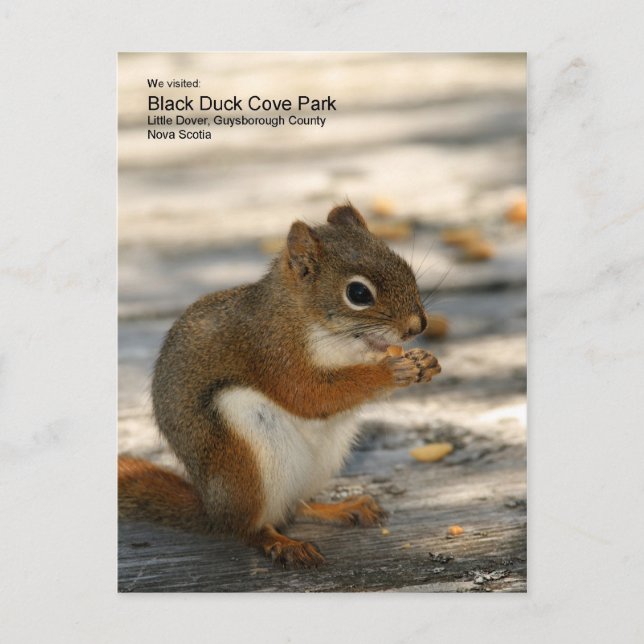 Postal Parque de la ensenada del pato negro (Anverso)