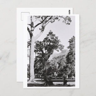 Postal Parque de la Naturaleza de Ciudad del Cabo Montaña