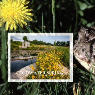 Postal Parque de la Primavera de Coldwater, río nacional 