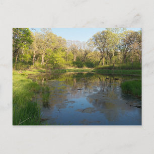 Postal Parque de las Marismas del Creek de Batalla