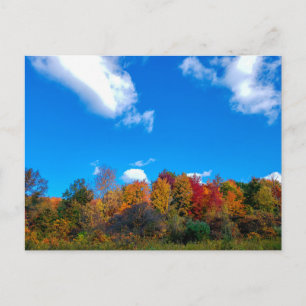 Postal Parque de metro Blendon Woods en otoño, Columbus, 