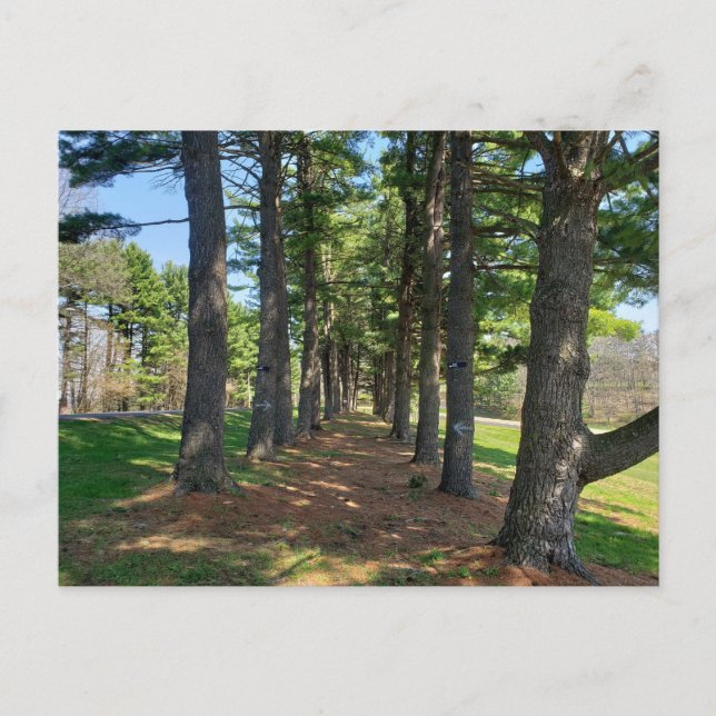 Postal Parque Deis Hill, Dover, Ohio (Anverso)