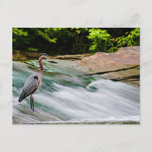 Postal Parque del río David Fortier, Cataratas Olmsted, O