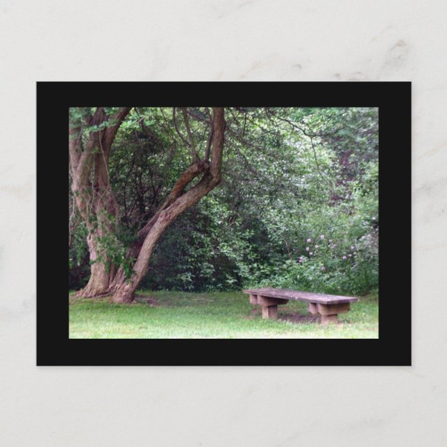 Postal Parque del Sprurito Azul #3 (Anverso)