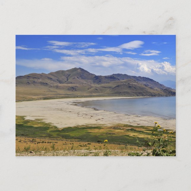 Postal Parque Estatal Antelope Island, Gran Lago Salino, (Anverso)