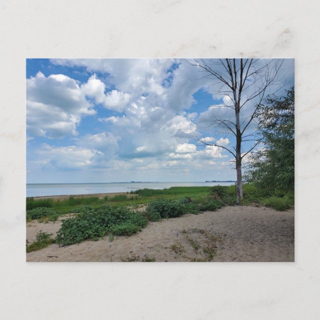 Postal Parque estatal Bay City (Anverso)