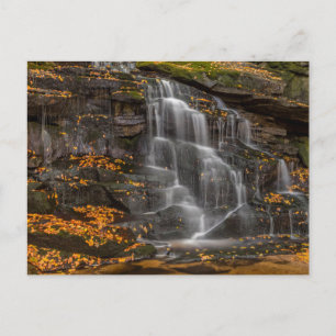Postal Parque Estatal Blackwater Falls
