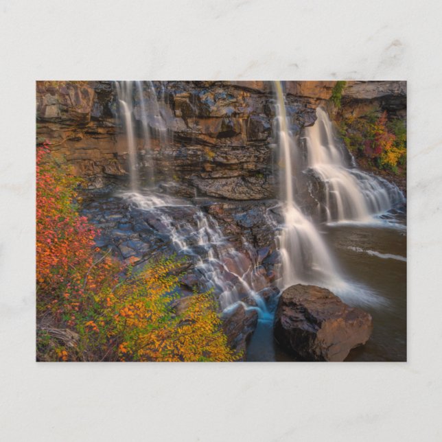 Postal Parque Estatal Blackwater Falls | Virginia Occiden (Anverso)