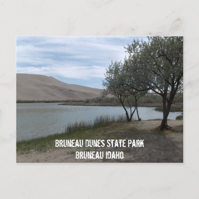 Postal Parque estatal Bruneau Dunes (Anverso)