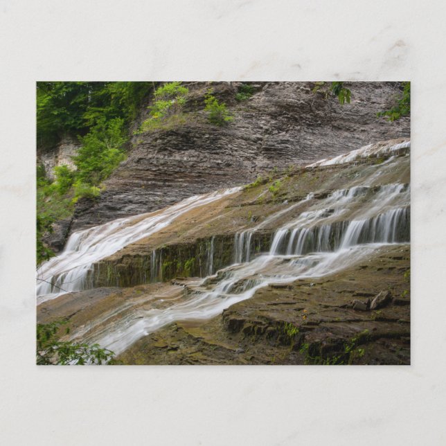 Postal Parque Estatal Buttermilk Falls, Nueva York (Anverso)