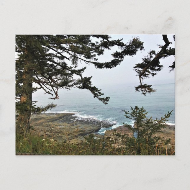 Postal Parque Estatal Cape Arago, Costa de Oregón (Anverso)