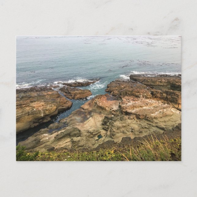 Postal Parque Estatal Cape Arago, Costa de Oregón (Anverso)