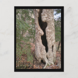 Postal Parque estatal de la carrera de Turquía, árbol de 