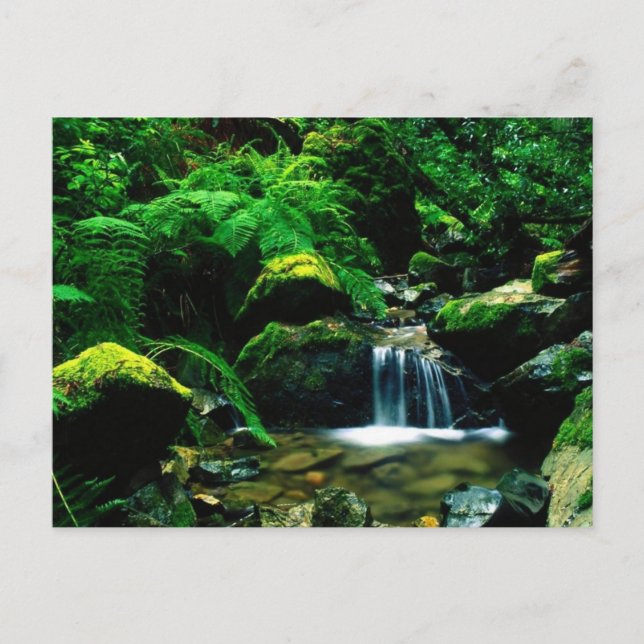 Postal Parque Estatal del Monte Tamalpais, CA (Anverso)