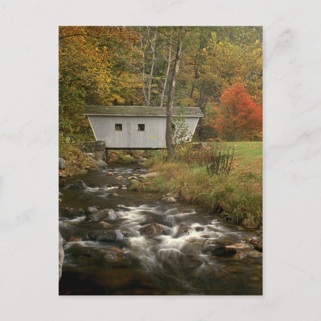 Postal Parque estatal del puente cubierto Foliage Kent Fa (Anverso)