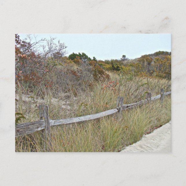 Postal Parque estatal Dunes and Fence Island Beach (Anverso)