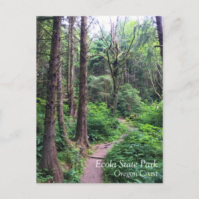 Postal Parque Estatal Ecola, Playa Cannon, Oregón (Anverso)