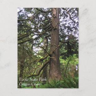 Postal Parque Estatal Ecola, Playa Cannon, Oregón