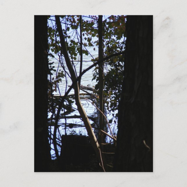 Postal Parque estatal Fort Yargo (Anverso)