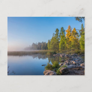 Postal Parque Estatal Itasca, Minnesota