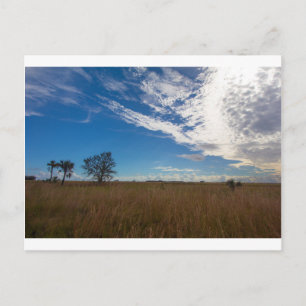 Postal Parque Estatal Kissimmee Prairie Preserve, Florida